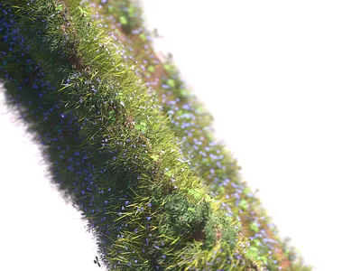 Forest .001 3d 3d artist 3d designer advertising branding c4d cgi cinema 4d design illustration material octane render