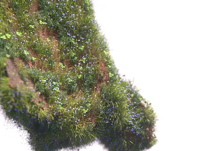 Forest .002 3d 3d artist 3d designer c4d cgi cinema 4d design graphic design illustration octane render