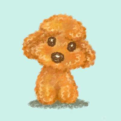 Toy Poodle animal character dog illustration pet puppy toy poodle