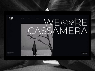 Website concept for the Cassamera Towel design ui web design website