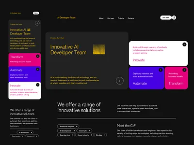 Ai Developer Team ui uiux web