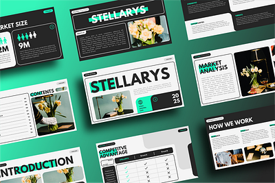 STELLARYS - Brand Proposal Presentation Template canva proposal