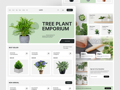 eCommerce Plants Website Design ecommerce plant shop ecommerce shop elementor mobile app design mobile responsive design modern ui design plant landing page design plant website design shopify builder shopify e commerce shop shopify theme design uiux design visual design web application design wix wordpress developer