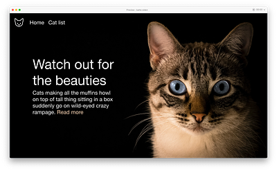 The cat site design graphic design ui ux webdesign