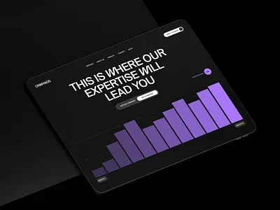 Onmyads Website branding charts graphic identity interaction statistic uxui web webdesign website