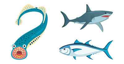 Illustrations for YouTube video about Lamprey fish design fish graphic design illustration lamprey fish ocean life salmon sea life shark vector youtube