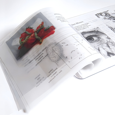 Artbook artbook edition graphic design print design