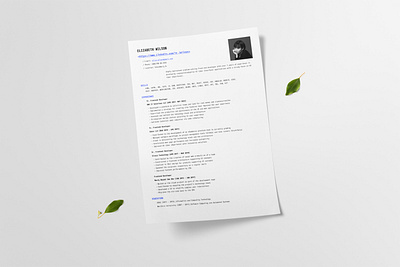 Professional CV / Resume template design #4 cv cv design cv template resume resume design resume template