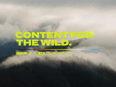 Big Horn Productions | Identity Direction big brand branding cinema content design horn hunt hunting logo logo design media minimal outdoor productions sheep simple social texture video