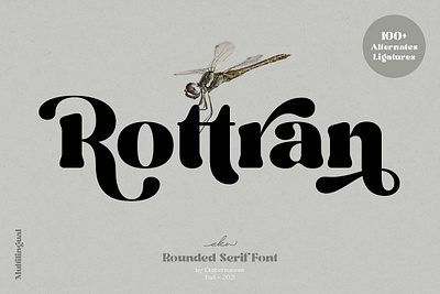 Rottran - Rounded Display Serif Font beautiful font beauty font best font bold font branding font display font elegant font fashion font font display font for logo great font groovy groovy font magazine font modern font retro font serif font smooth font swash font