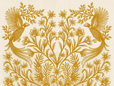Ocean & Meadow botanical digital drawn ella ginn folioart illustration line monochrome nature organic packaging design print texture traditional