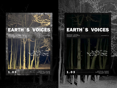 EARTH`S VOICES POSTER banner dark dark theme day design design posters earth forest graphic design light music night photo poster posters quotes style two typography ui