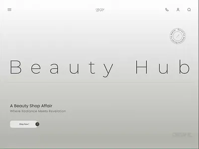 Beauty Hub animation design beauty mood board design beauty site ui
