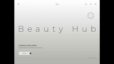 Beauty Hub animation design beauty mood board design beauty site ui