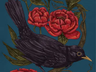 Blackbird & Peony Hand-drawn illustration bird blackbird decoration design drawing flower graphic design hand drawing illustration nature peony vintage wallpaper