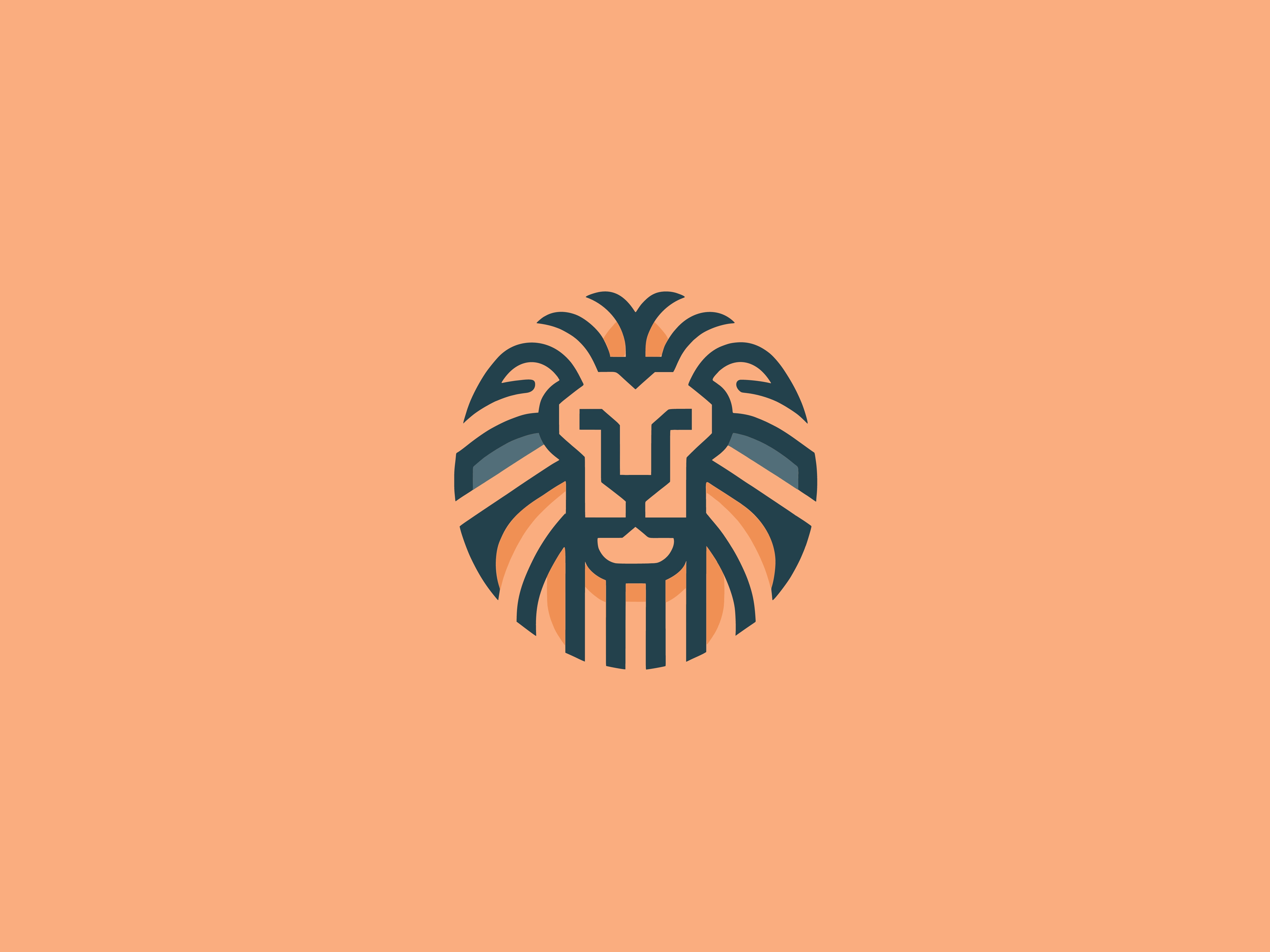 Lion Logo Design by Anuhas Sathsara on Dribbble