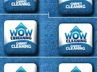 Logo and Poster Design branding carpet cleaning graphic design