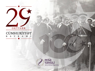 Republic Day of Turkey app branding design graphic design illustration logo typography ui ux vector