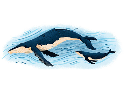 Economical Migration adobe blue brush busniess digitalillustration economy illustration illustrator muti nature photoshop texture texture brush wacom art whale