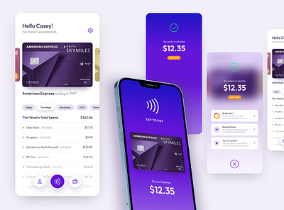 Digital Wallet & Tap to Pay Concept graphic design ui