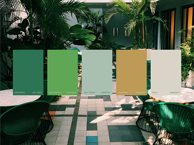 Cupid's Cove Hotel + Spa Color Palette branding color combination color combo color inspiration color inspo color palette color scheme design graphic design logo