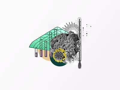 Avalo Collage 01 bar chart branding broccoli circles collage control flower green greenhouse table teal tempurature