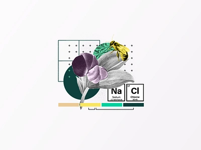 Avalo Collage 03 bee branding circles crops flower green leaf plant polinator punnett square purple range salt table teal