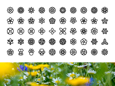 FREE spring flowers icons blossoms floral flower icons flower illustrations flowers geometry icons icon design icon pack icons nature nature icons spring spring flowers