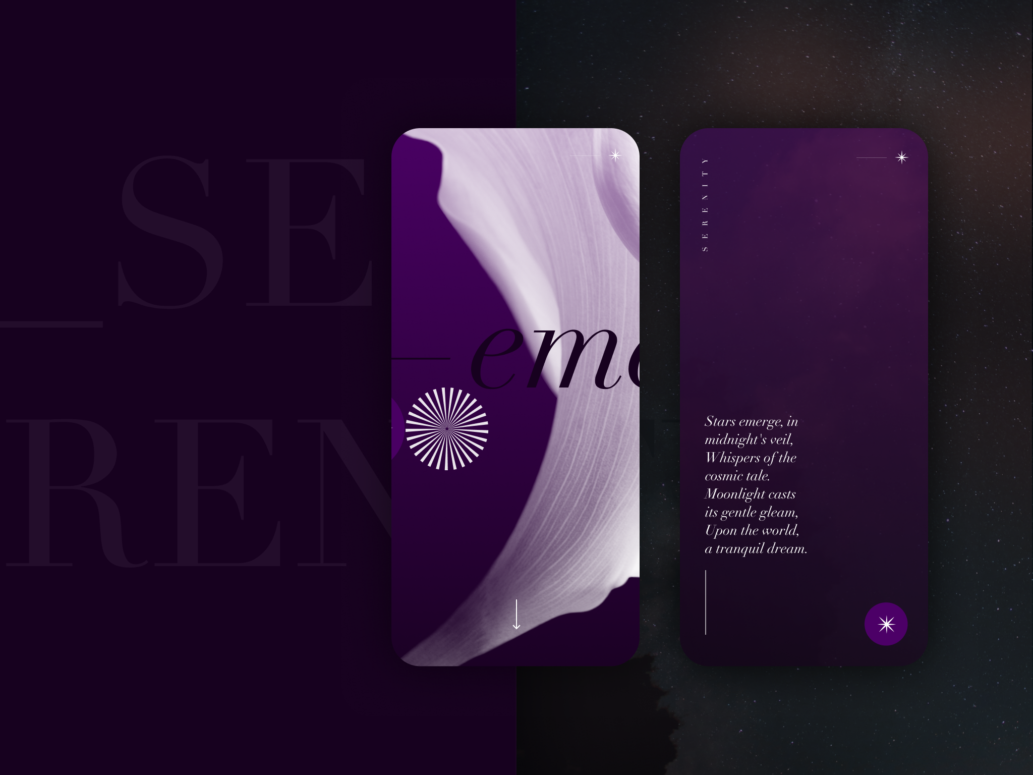 Serenity Branding atmospheric cinematic concept cosmic environmental graphic design logo minimal sky ui