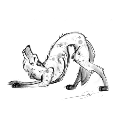 The jackal sketch illustration procreate the jackal