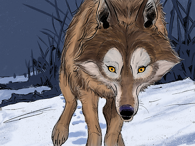 Wolf walking through a snowy landscape illustration procreate snow wilderness winter wolf