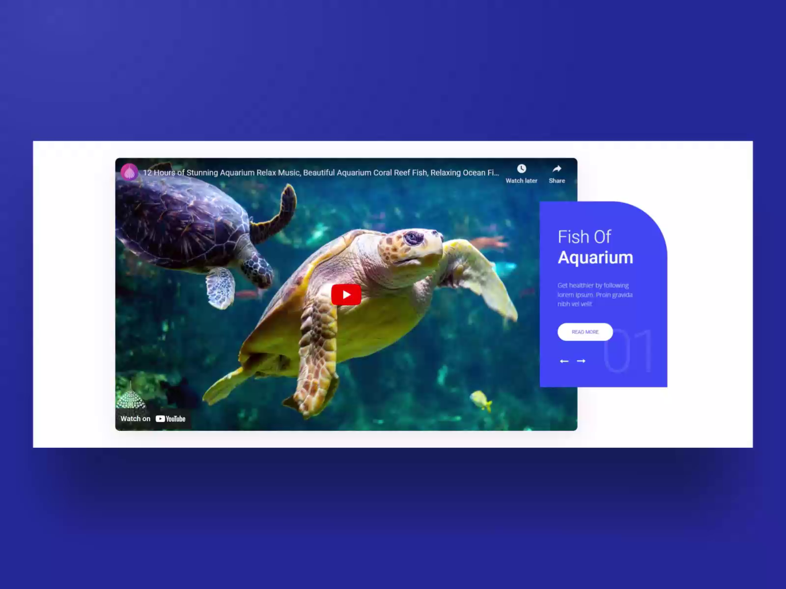 Aquarium slider template by depicter on Dribbble