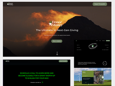 Impact Ecosystem | Donor Money app developement branding graphic design ui web development