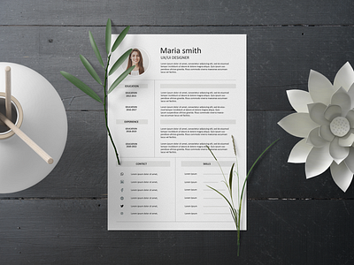 Professional resume template professional resume cv