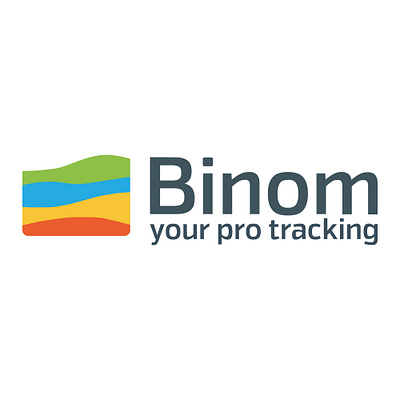 Binom Logo branding design graphic design illustration illustrator logo typography ui ux vector