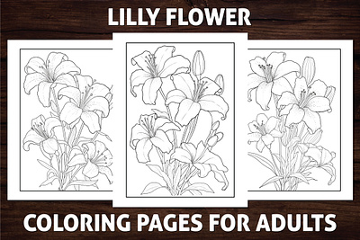 Adult Coloring Book Interior Page Design activitybook adult book interior adult coloring page amazon kdp amazon kdp book design amazon kdp coloring book book cover coloring coloring book coloring page design graphic design illustration kdp kdp book interior kdp coloring kids coloring self publishing