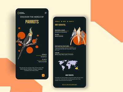 National Geographic App animal character avian life biodiversity birds birdspecies birdwatching geographic mobile app national geographic app ui uiuxdesign wildlife