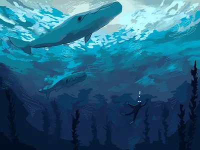 Whale, what do we have here? illustration nature