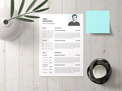 Resume design professional resume