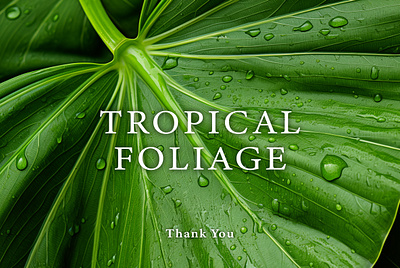 Tropical Foliage absract art baackground design drop foliage forest graphic green illustration leaf photo tropical water