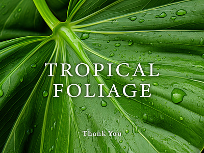 Tropical Foliage absract art baackground design drop foliage forest graphic green illustration leaf photo tropical water