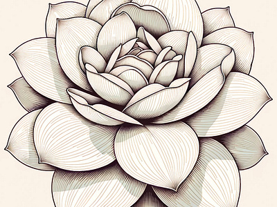 Layered Bloom by Aravind Reddy Tarugu aravind art artistic nature botanical art designs detailed artwork elegant flower flora detail floral vector garden bloom gardenia illustrations line art monochrome nature illustration organic shapes plant drawing reddy tarugu vector