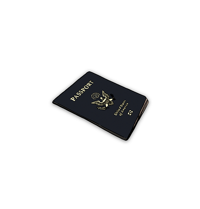 Passport artwork branding design graphic design handmade illustration logo vector