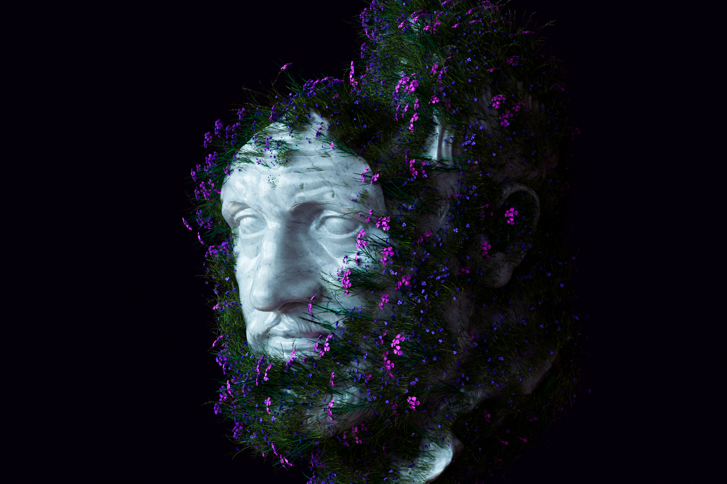 Flower Hair 3d c4d cinema4d