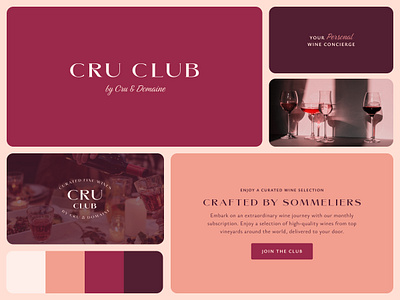 Wine Subscription Branding bento brand branding logo small business subscription wine