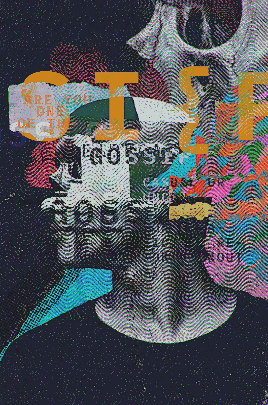 רְכִילוּת art collage image mix media multimedia photoshop skull