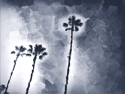 jagged palm trees digital art illustration jagged palm trees trees