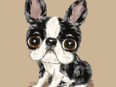 Boston terrier animal boston terrier dog pet puppy