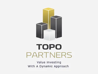 TOPO PARTNERS branding graphic design logo vector