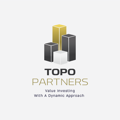 TOPO PARTNERS branding graphic design logo vector